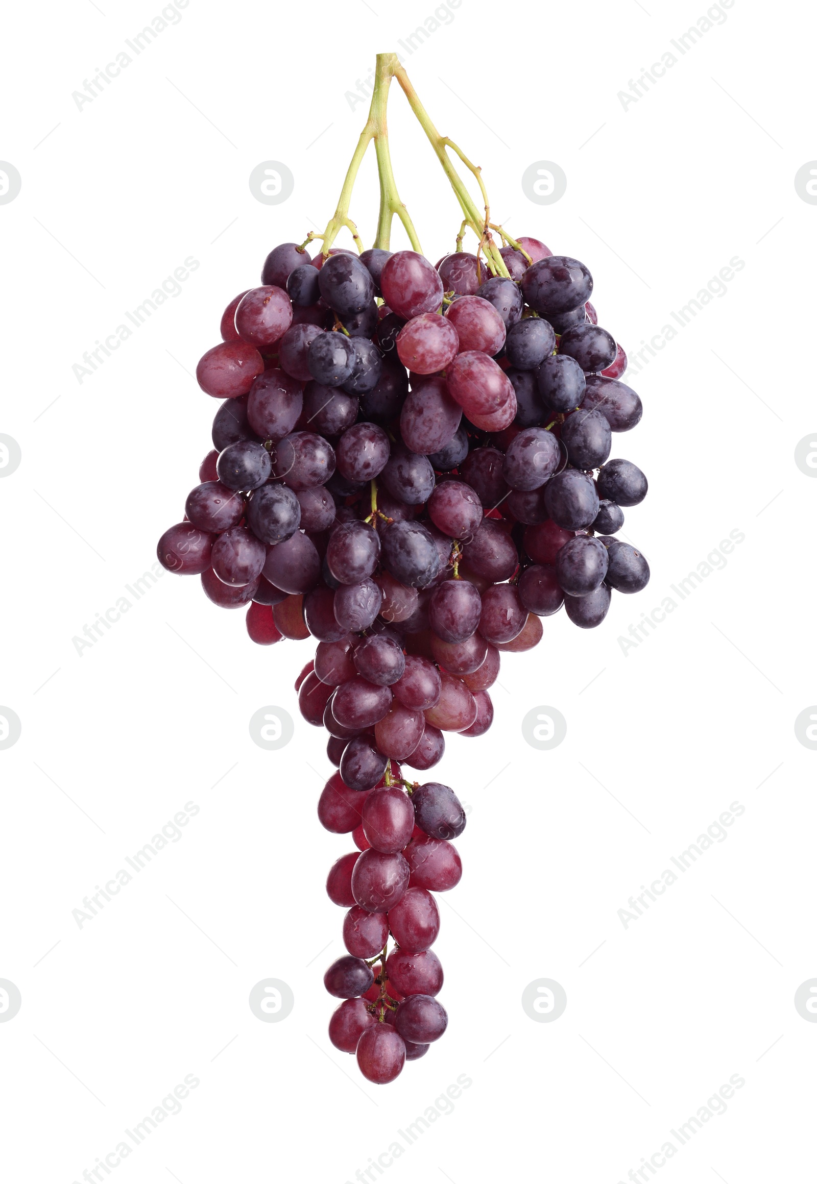 Photo of Bunch of fresh ripe juicy grapes isolated on white