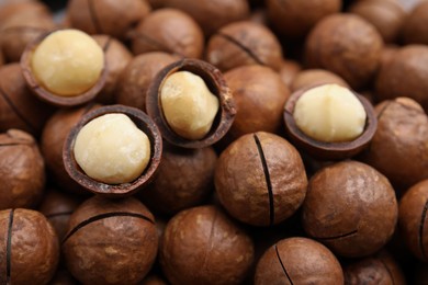 Photo of Tasty Macadamia nuts as background, closeup view