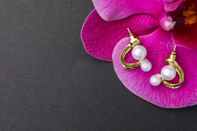 Photo of Elegant pearl earrings and orchid flower on black background, top view. Space for text