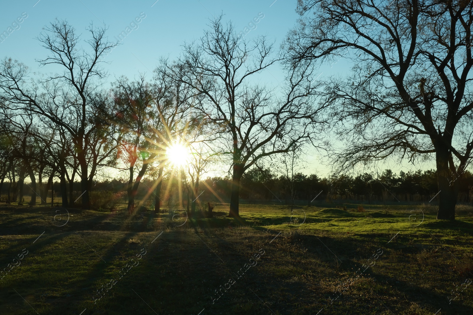 Photo of Picturesque view of beautiful countryside at sunset