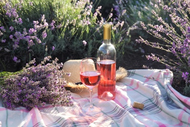 Photo of Bottle and glass of wine on blanket in lavender field