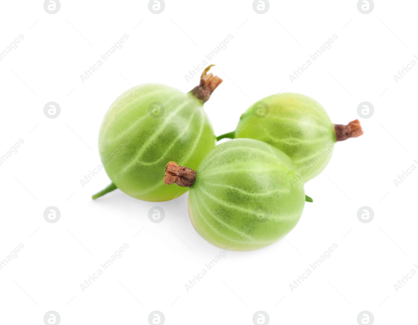 Photo of Three fresh ripe gooseberries isolated on white