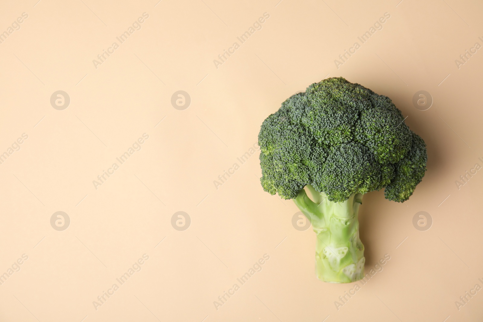 Fresh green broccoli on color background, top view. Space for text Photo of Fresh green broccoli on color background, top view. Space for text