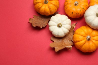 Photo of Thanksgiving day. Flat lay composition with pumpkins on red background, space for text