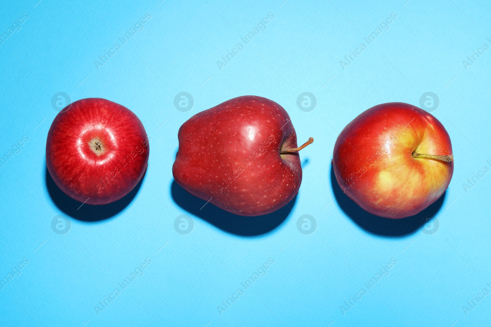 Photo of Ripe red apples on light blue background, flat lay