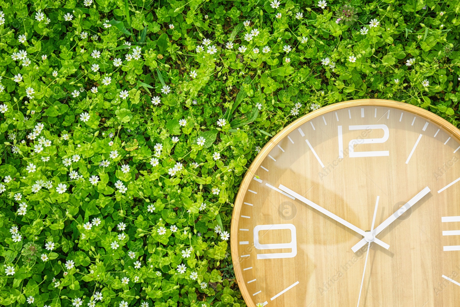 Photo of Big clock among flowers, outdoors. Time change concept