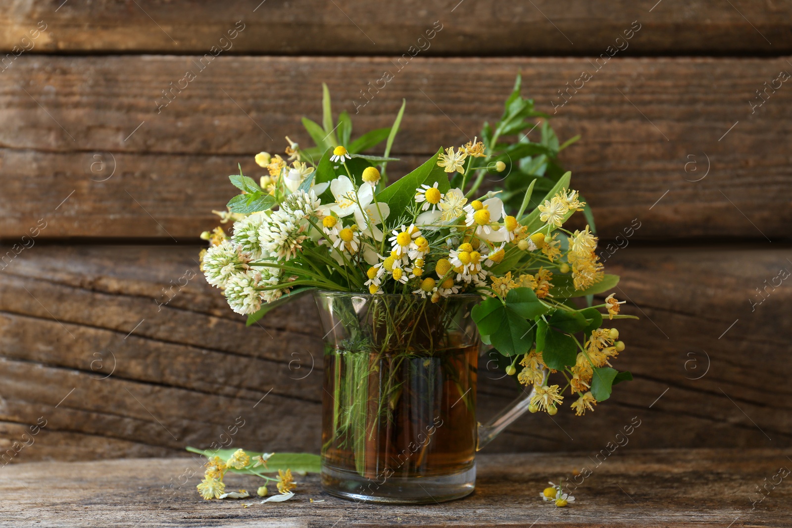 Photo of Composition with different fresh herbs in cup of tea near wooden wall