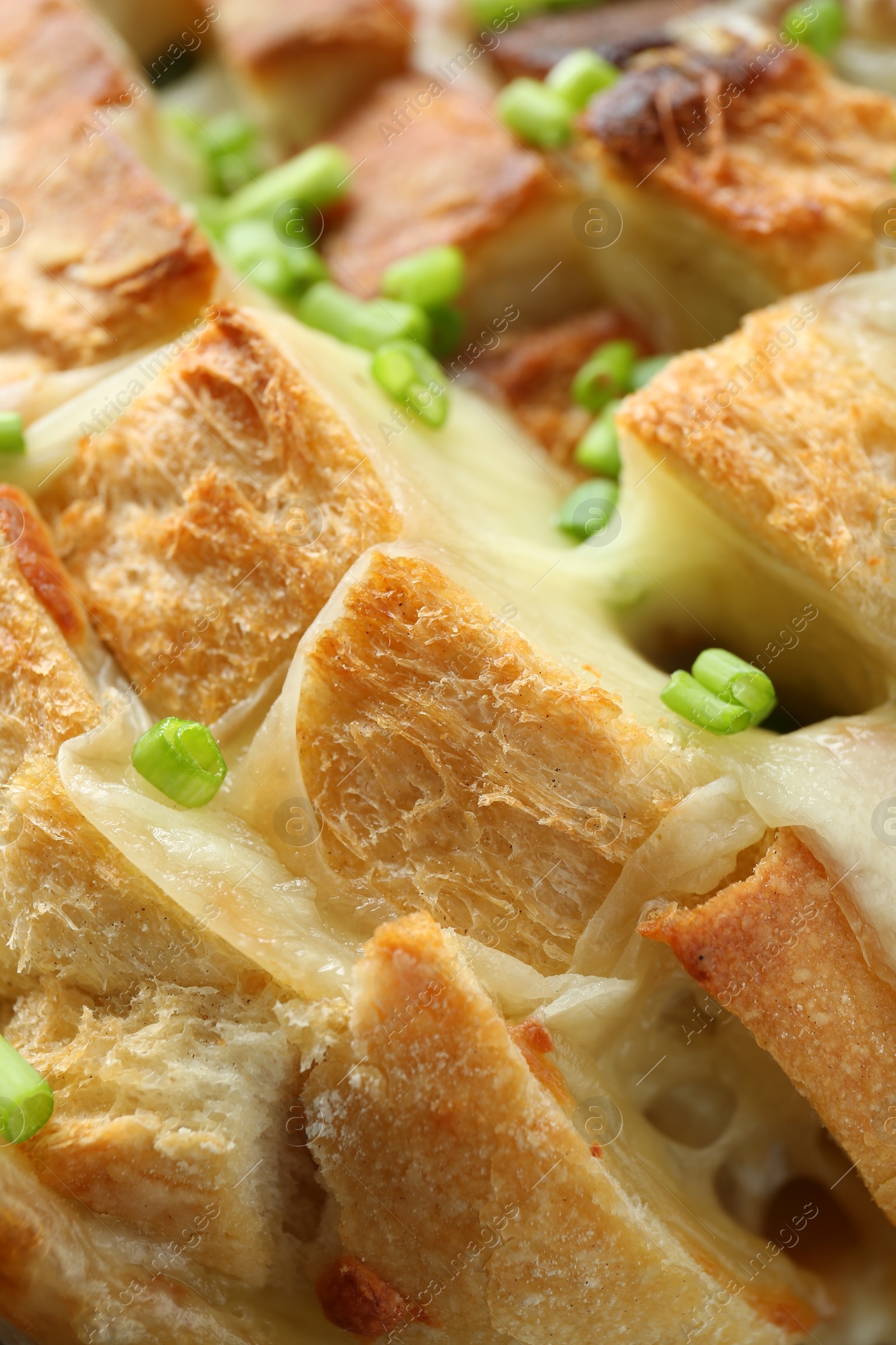 Photo of Freshly baked bread with tofu cheese and green onions, closeup