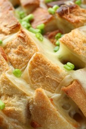 Photo of Freshly baked bread with tofu cheese and green onions, closeup