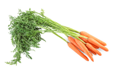 Photo of Bunch of fresh ripe carrots isolated on white
