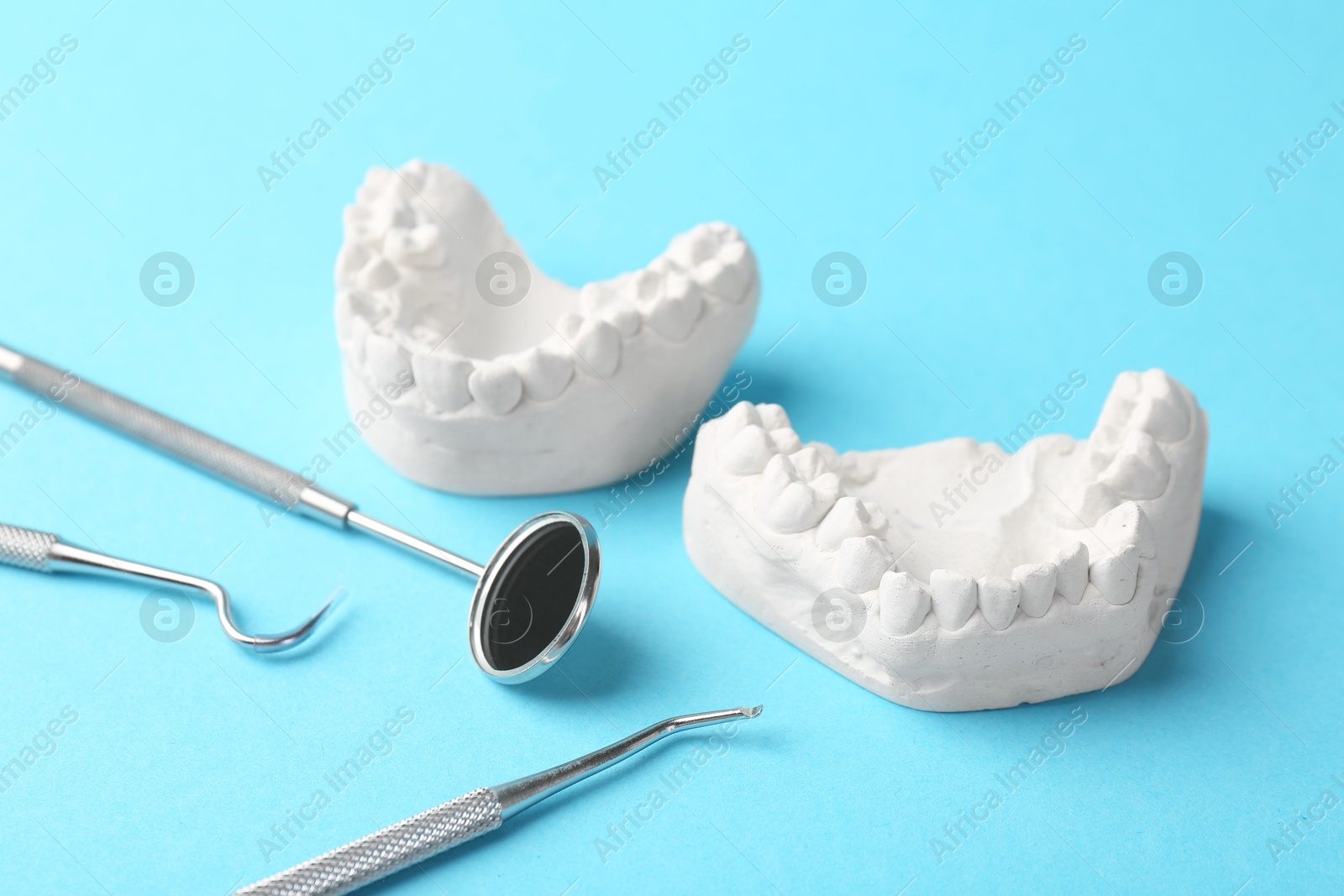 Photo of Dental model with gums and dentist tools on light blue background. Cast of teeth