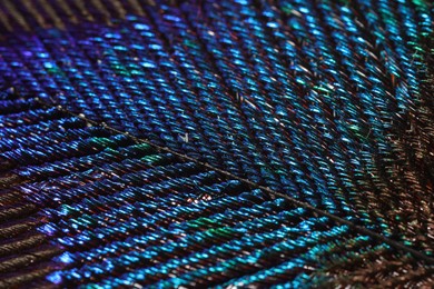Texture of beautiful peacock feather as background, closeup