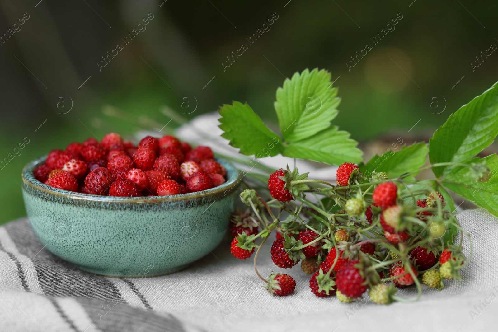 Photo of Bowl and tasty wild strawberries on cloth against blurred background
