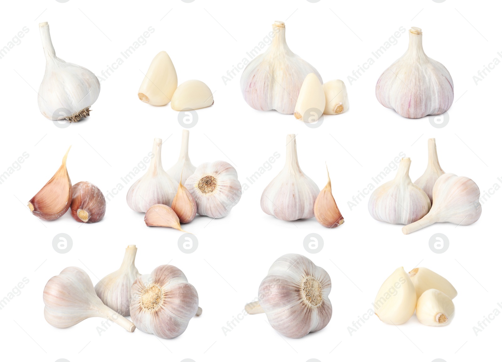 Image of Set with garlic bulbs and cloves on white background