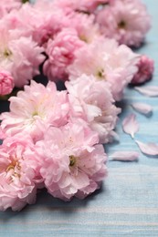 Photo of Beautiful sakura tree blossoms on light blue wooden background, closeup