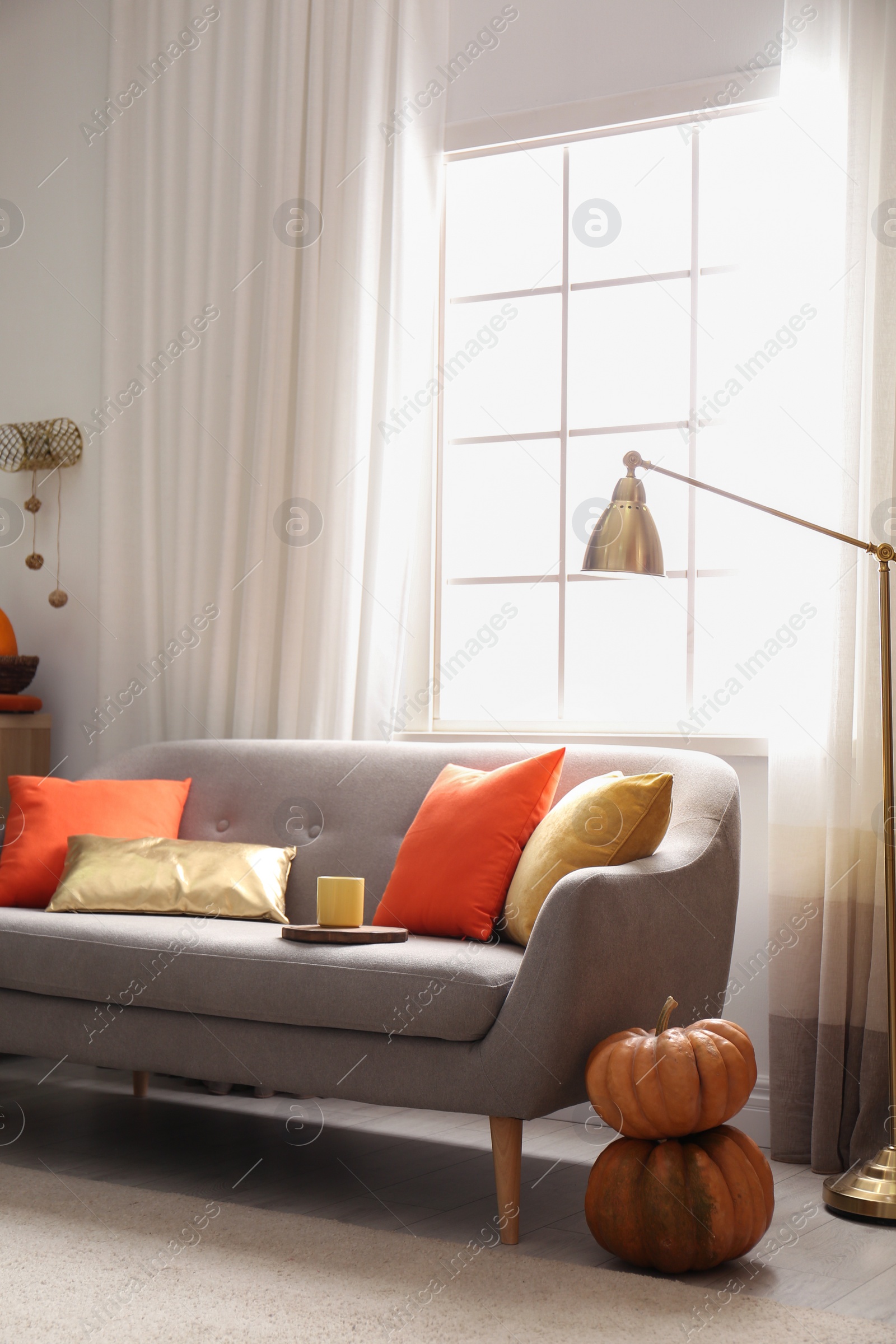 Photo of Cozy living room interior inspired by autumn colors