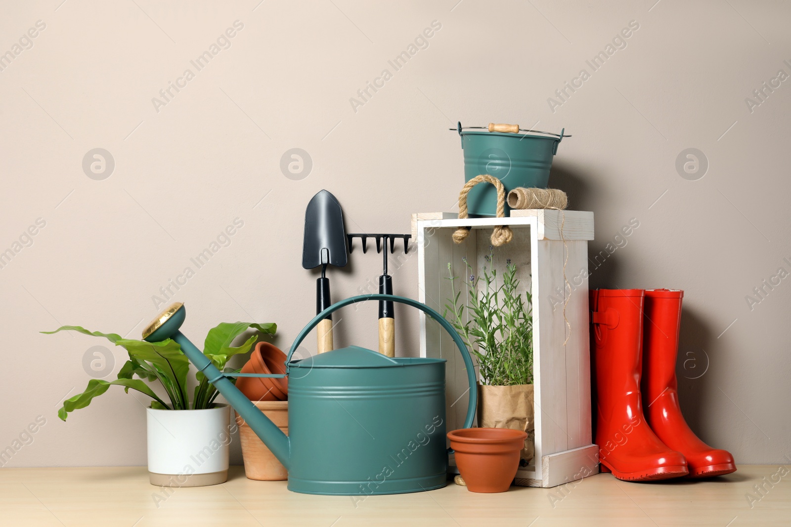 Photo of Gardening tools and houseplants on wooden table