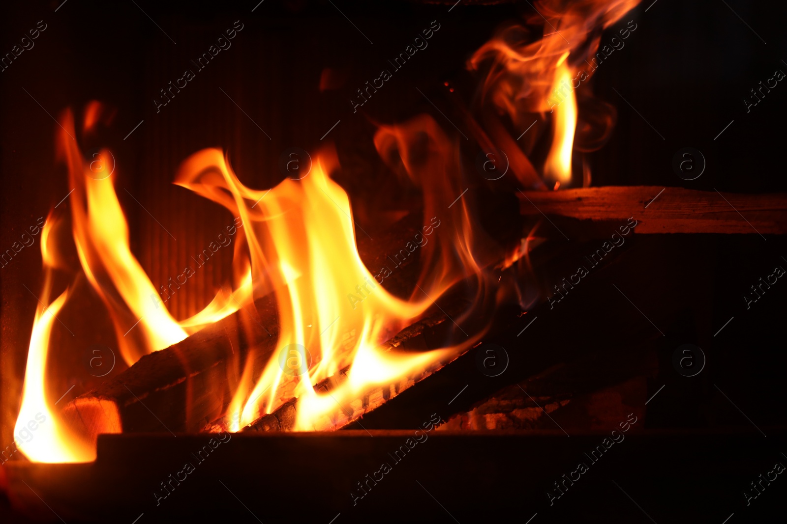 Photo of Bonfire with burning firewood on dark background