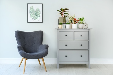 Different houseplants on chest of drawers near light grey wall