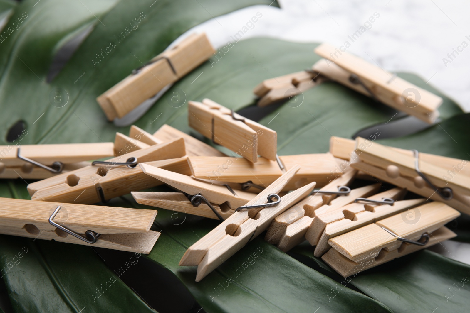 Photo of Many wooden clothespins on green tropical leaf