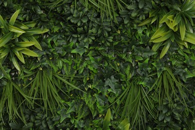 Photo of Green artificial plant wall panel as background, closeup