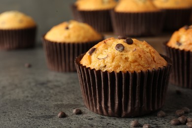 Photo of Delicious freshly baked muffins with chocolate chips on gray table, closeup