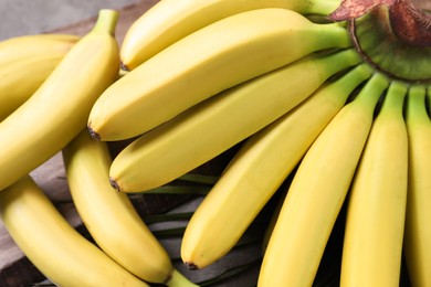 Photo of Tasty ripe baby bananas on table, closeup