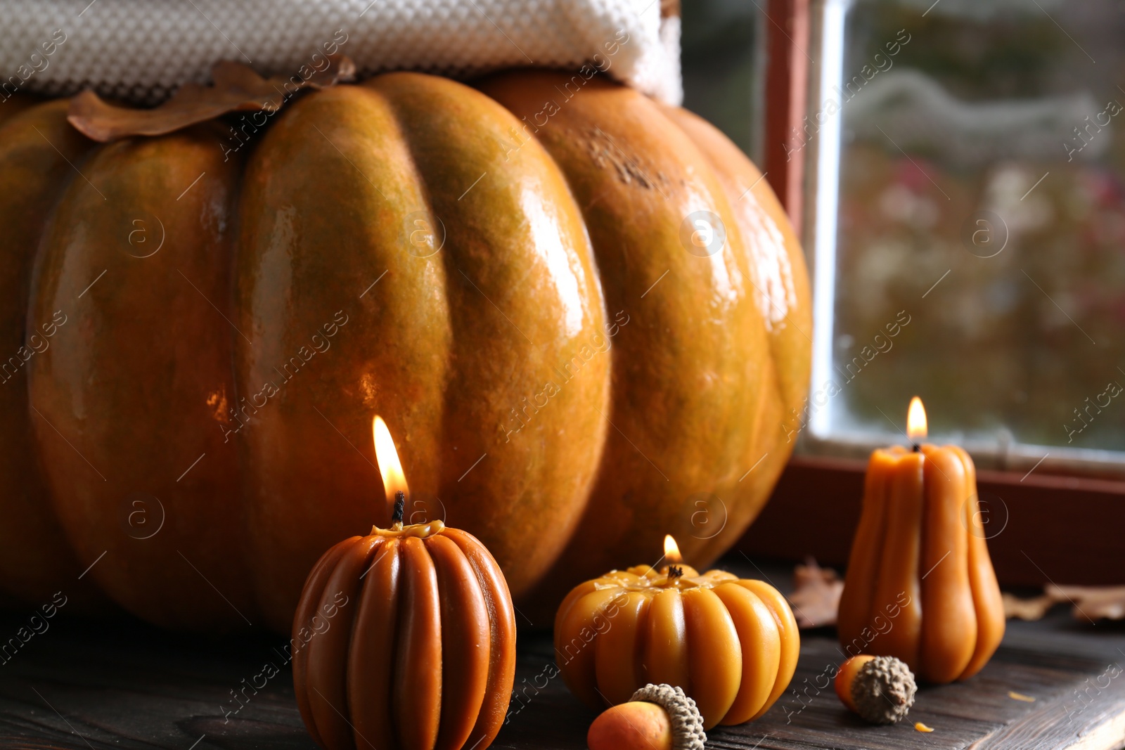 Photo of Beautiful burning candles in shape of pumpkins on wooden table near window. Autumn atmosphere