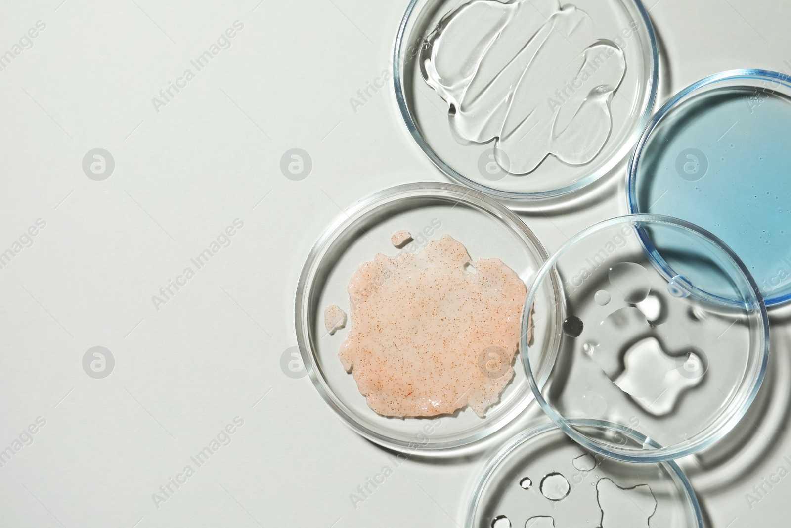 Photo of Flat lay composition with Petri dishes on light grey background, space for text