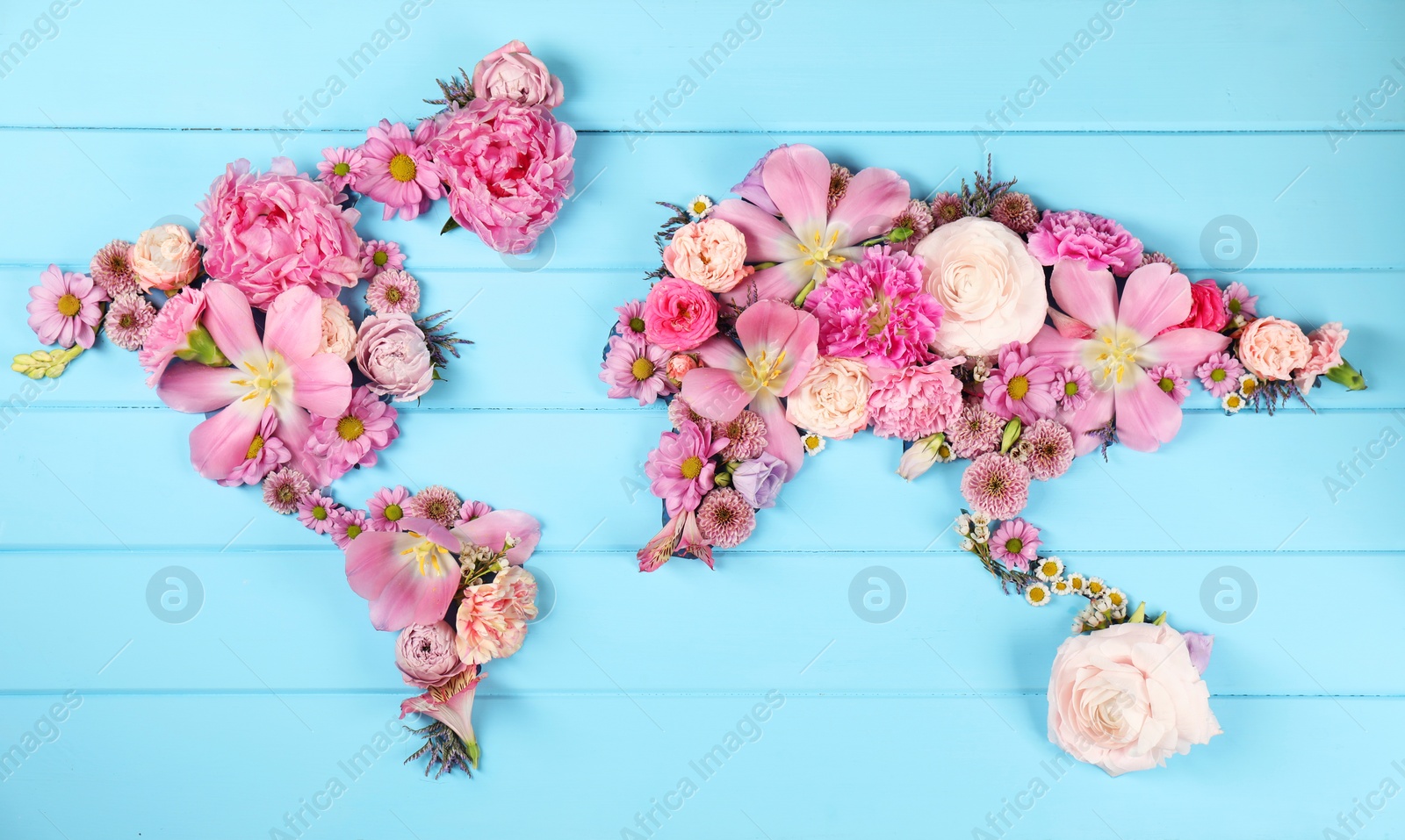 Photo of World map made of different beautiful flowers on light blue wooden table, flat lay