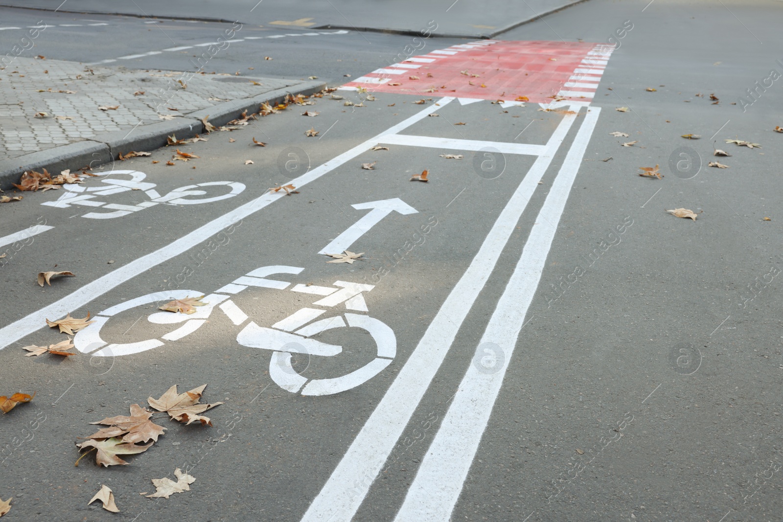 Photo of Two way bicycle lane with white signs on asphalt