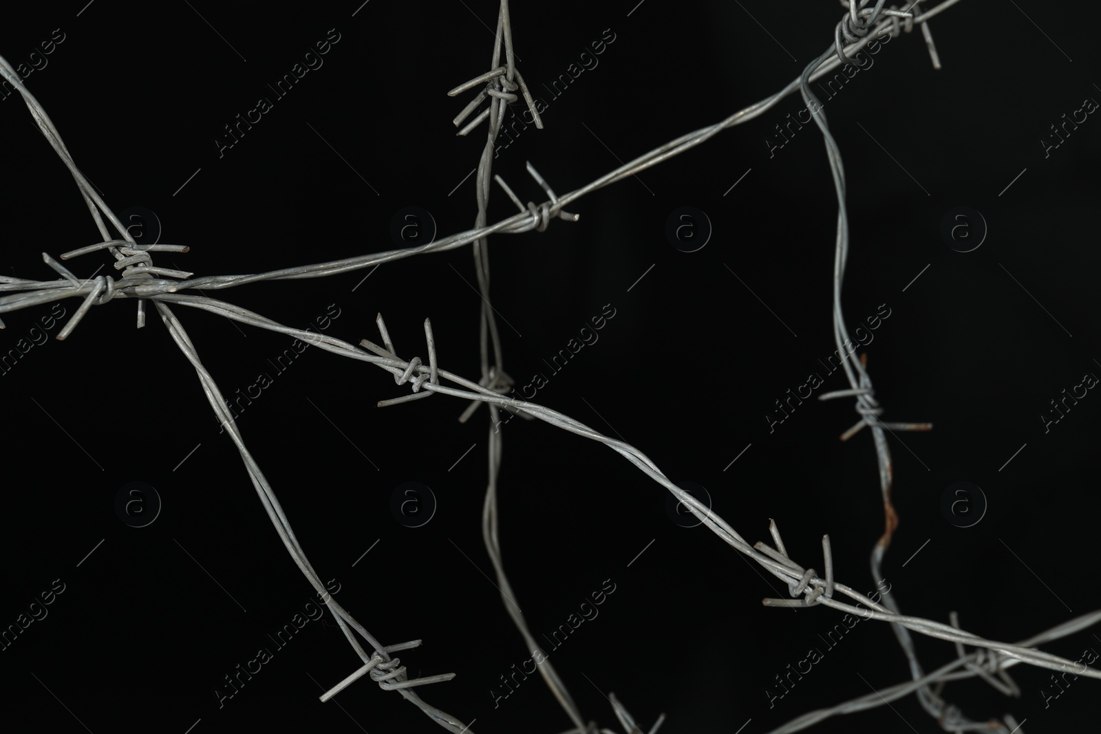 Photo of Shiny metal barbed wire on black background