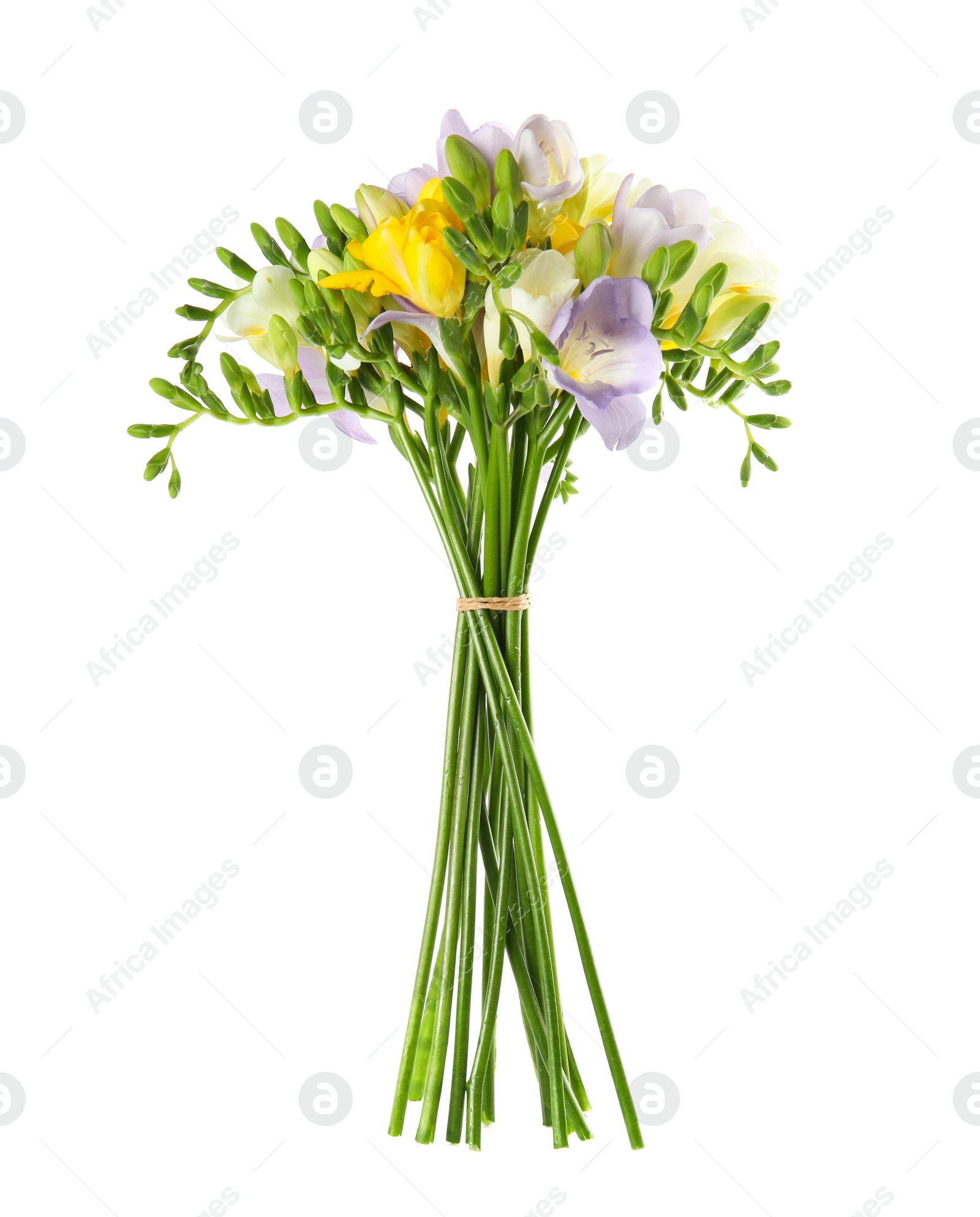 Photo of Bouquet of fresh freesia flowers isolated on white