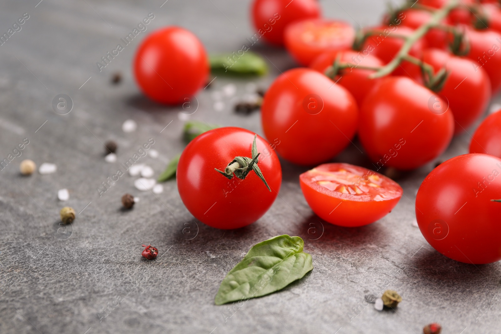 Photo of Ripe tomatoes and basil on gray textured table, closeup