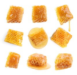 Image of Set with fresh delicious honeycombs on white background