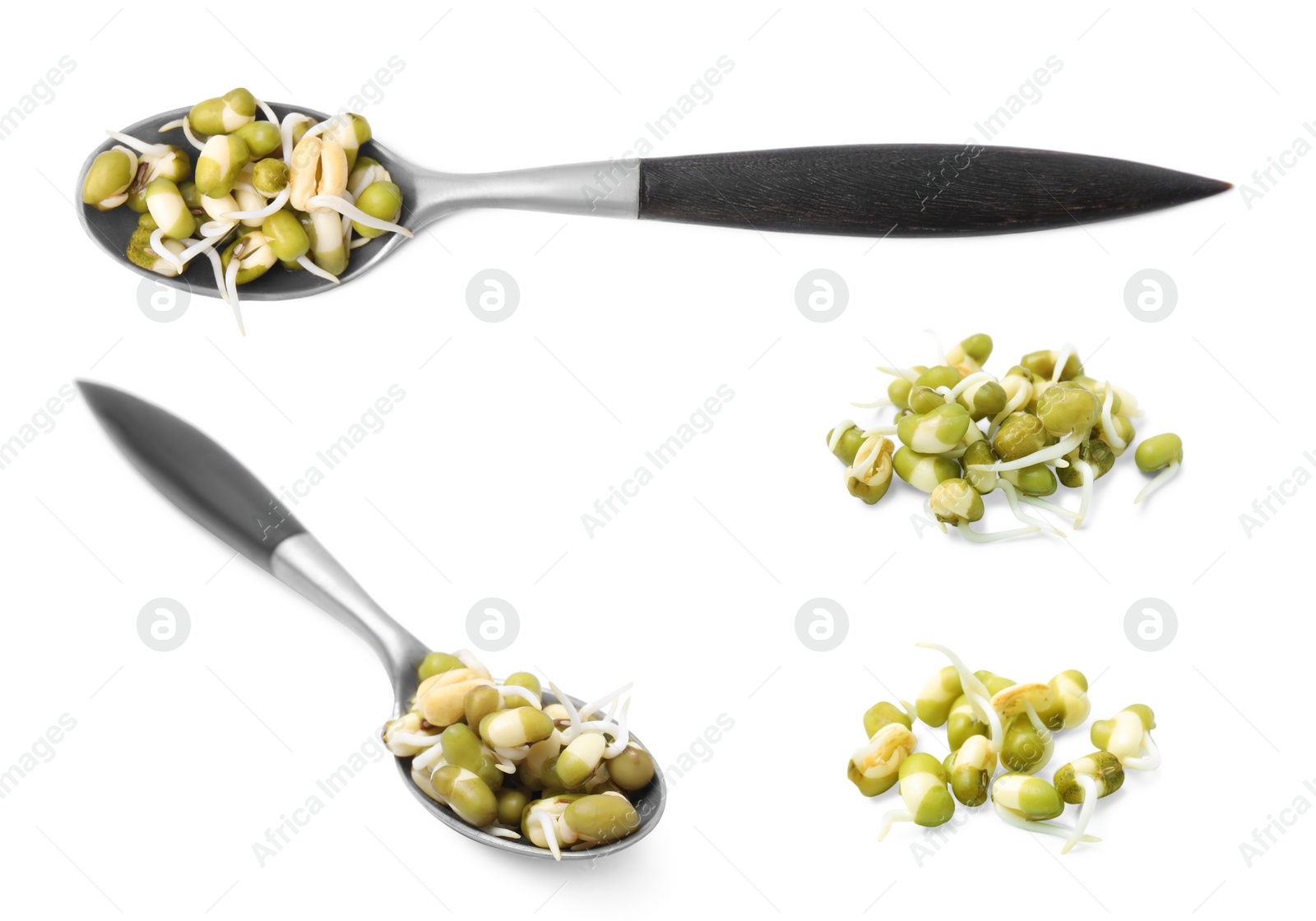 Image of Many mung bean sprouts on white background