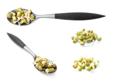 Image of Many mung bean sprouts on white background