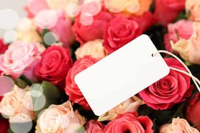 Bouquet of beautiful roses with blank card, closeup