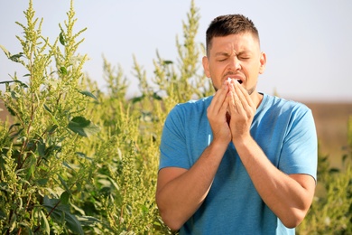 Photo of Man suffering from ragweed allergy outdoors on sunny day