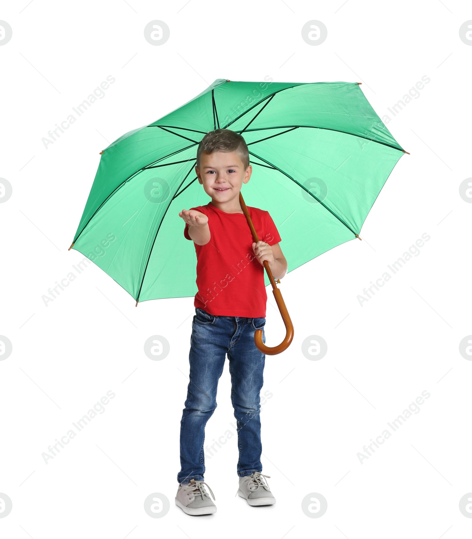 Photo of Little boy with green umbrella on white background