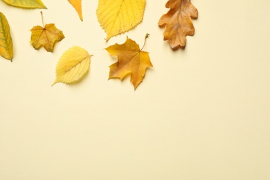 Photo of Flat lay composition with autumn leaves on beige background. Space for text