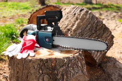 Photo of Saw and gloves on wooden log on sunny day