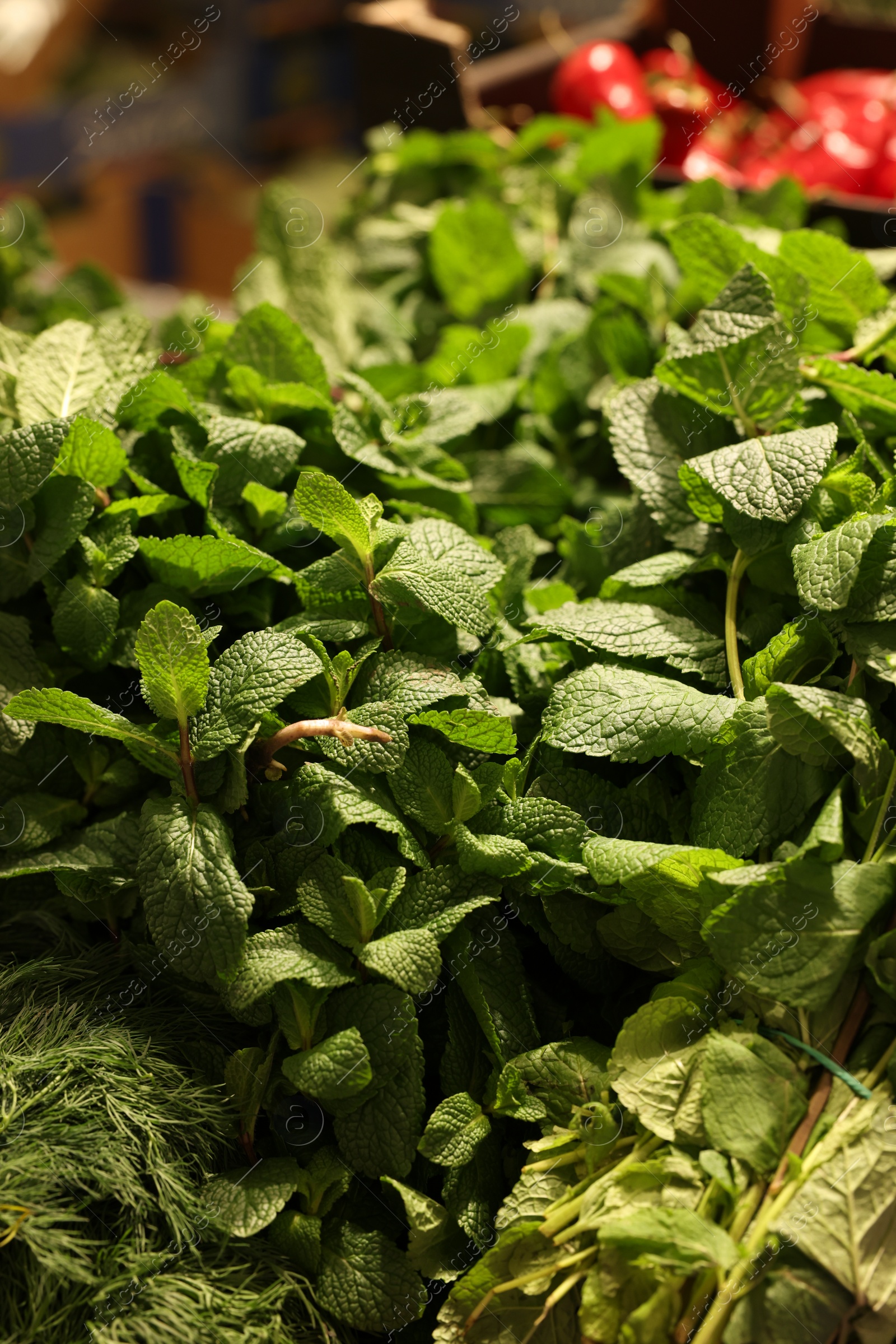 Photo of Fresh mint leaves on counter at wholesale market, closeup