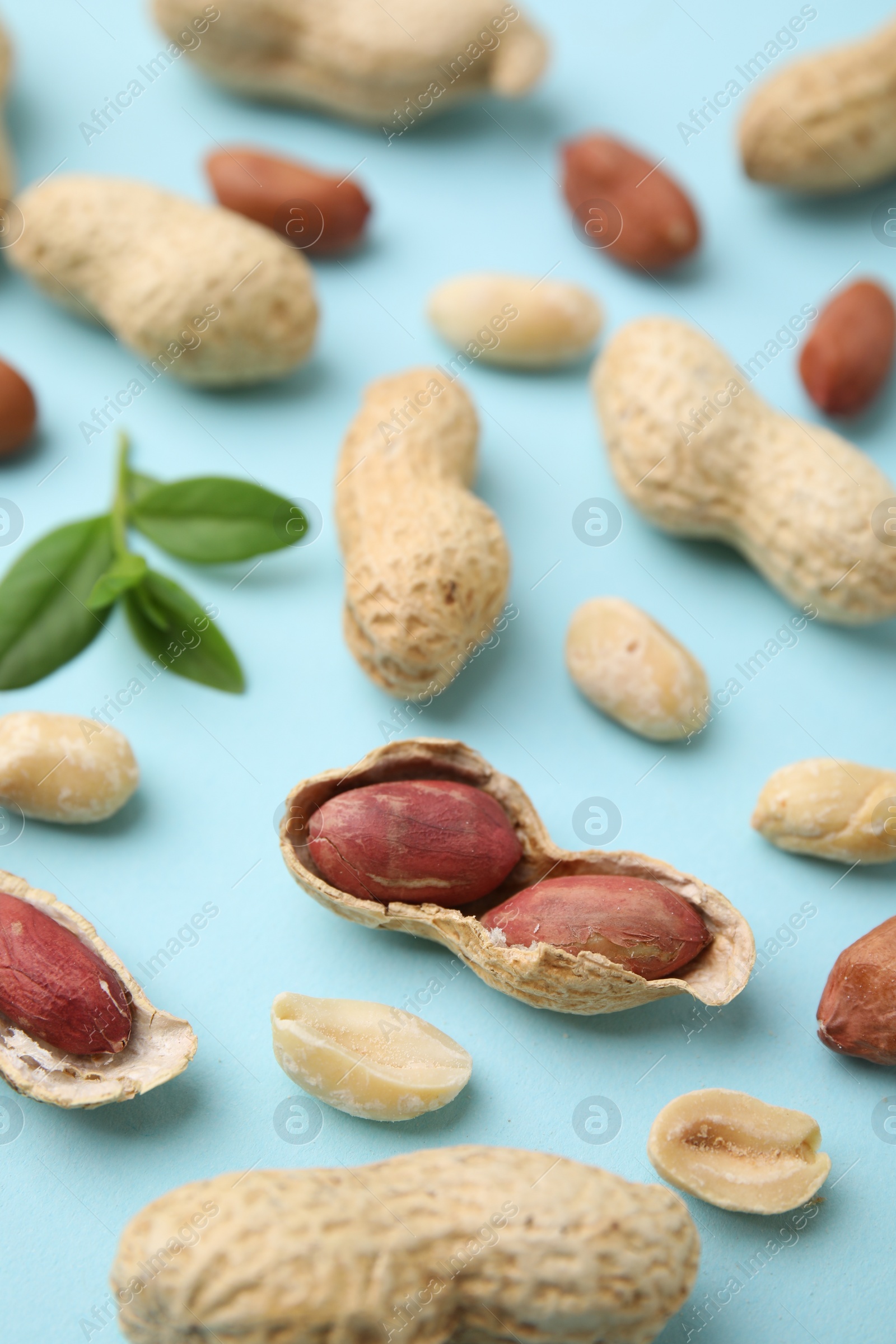 Photo of Fresh peanuts and leaves on light blue table, above view