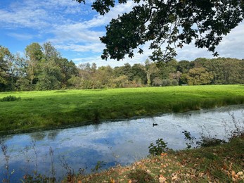 Photo of Beautiful water channel, green grass and trees in park