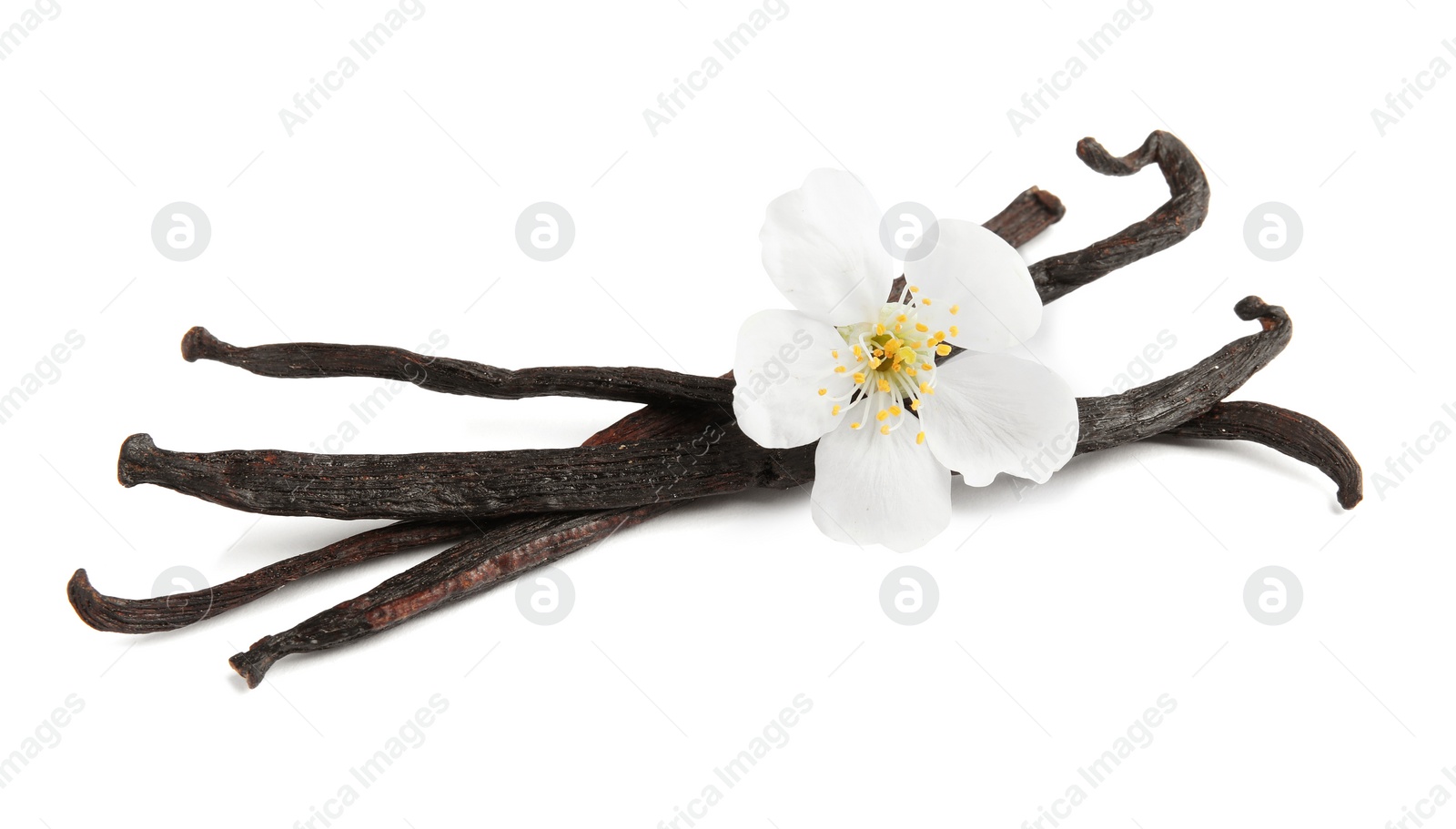 Photo of Aromatic vanilla sticks and flower on white background