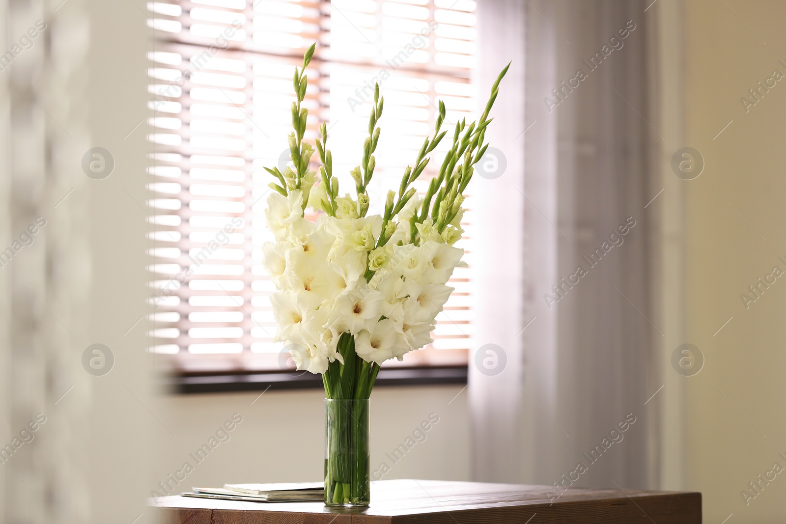 Photo of Vase with beautiful white gladiolus flowers on wooden table in room, space for text