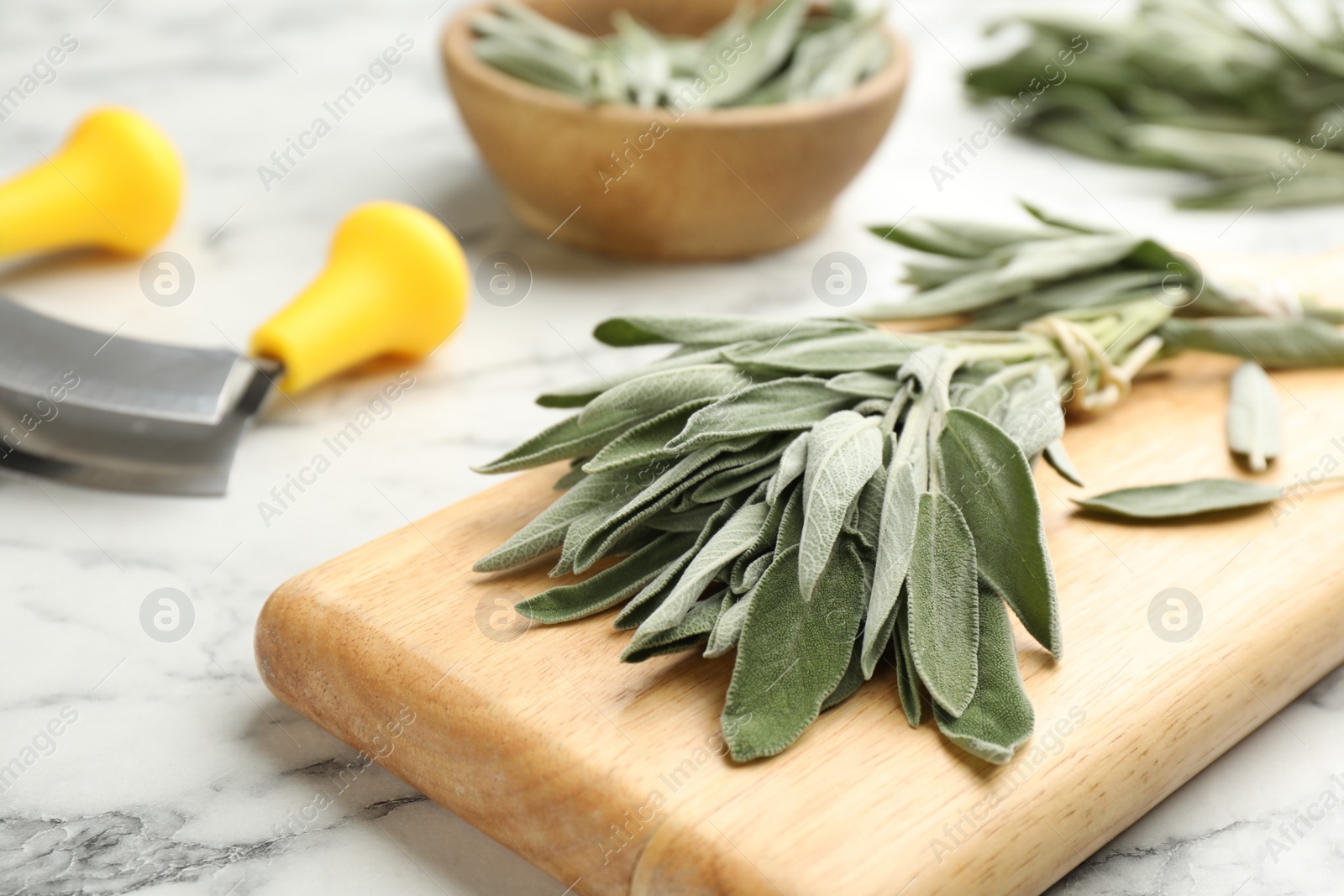Photo of Wooden board with fresh green sage on white marble  table, closeup