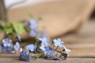 Photo of Beautiful forget-me-not flowers on wooden table, closeup. Space for text