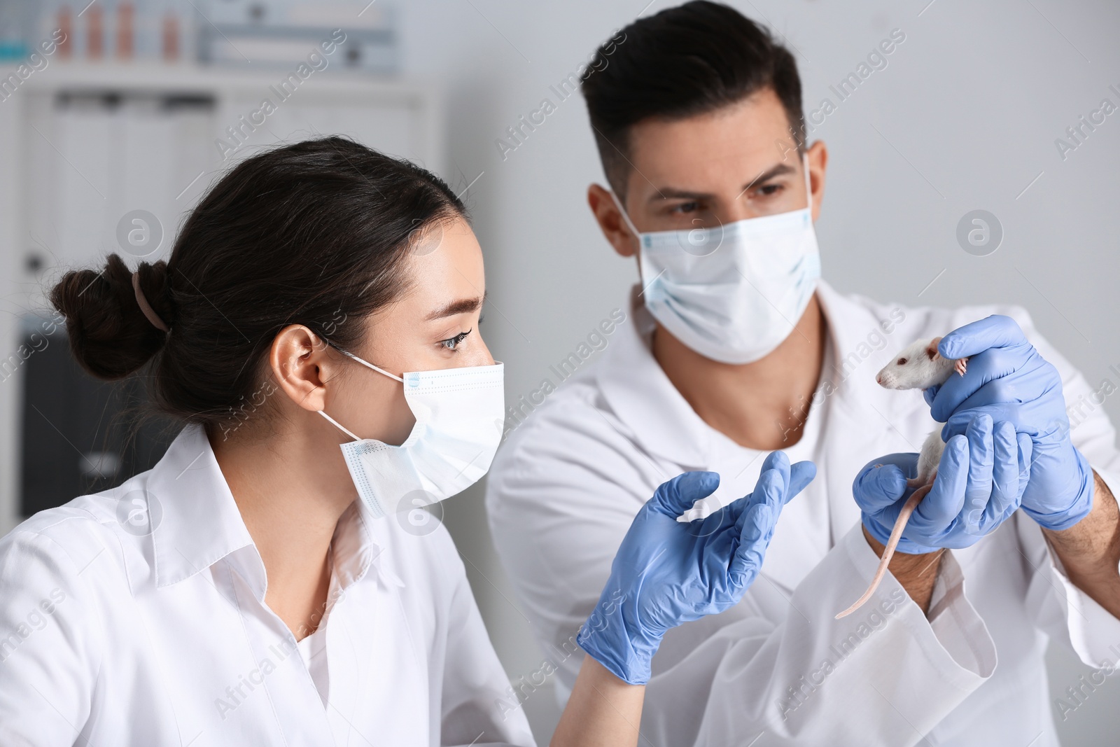 Photo of Scientists with rat in chemical laboratory. Animal testing